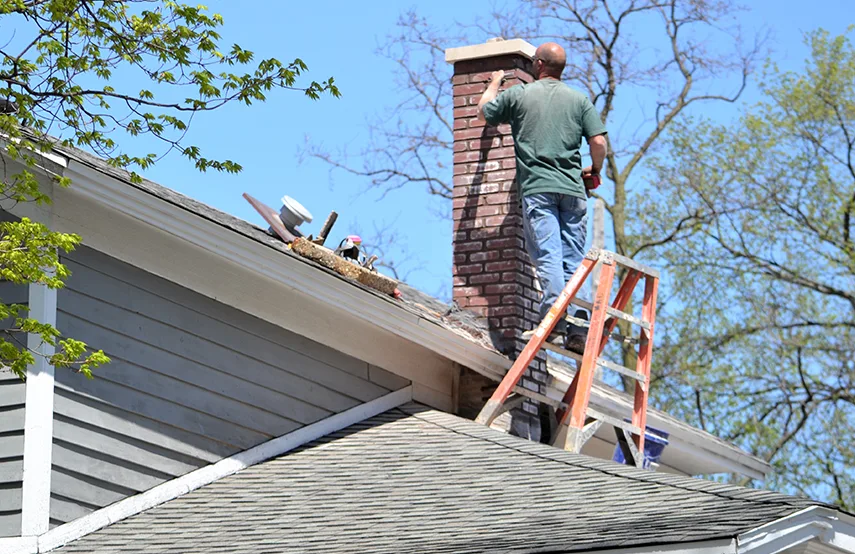 Chimney & Fireplace Inspections Services in Crown Point, IN
